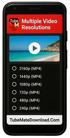 Multiple Video Resolutions